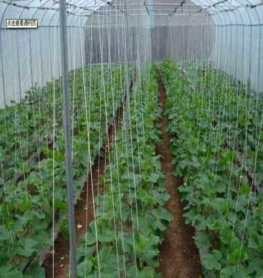 萊蕪市萊城區(qū)蔚霖節(jié)水灌溉產品經營部