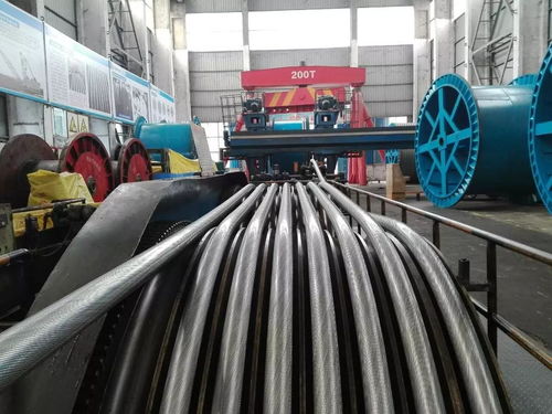 公司順利完成銅仁奧體中心密封繩生產(chǎn)，同步推進塑料管產(chǎn)銷業(yè)務(wù)